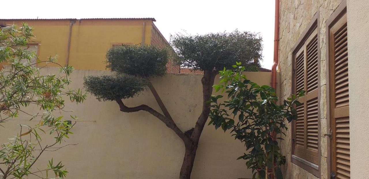לינה וארוחת בוקר קאפוטרה Il Vecchio Ginepro מראה חיצוני תמונה